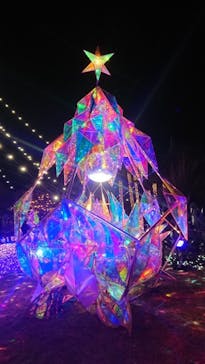 江の島シーキャンドルに投稿された画像（2022/1/9）