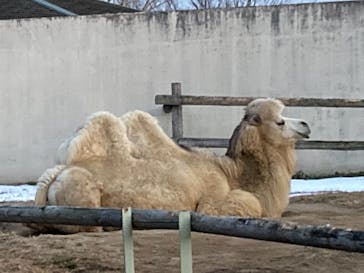 東武動物公園に投稿された画像（2022/1/9）