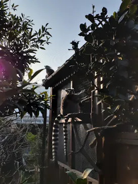 神戸どうぶつ王国に投稿された画像（2022/1/9）