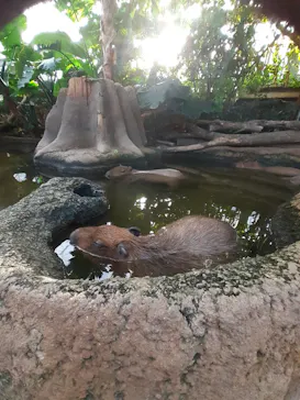 神戸どうぶつ王国に投稿された画像（2022/1/9）