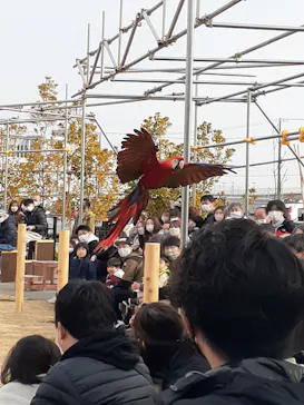 神戸どうぶつ王国に投稿された画像（2022/1/9）