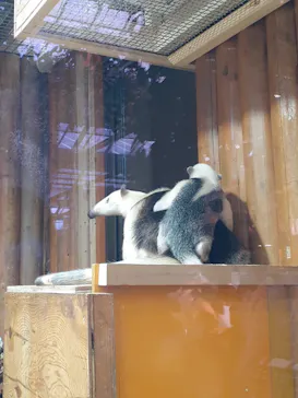 神戸どうぶつ王国に投稿された画像（2022/1/9）