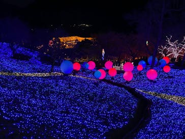 さがみ湖MORI MORIに投稿された画像（2022/1/9）