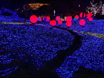 さがみ湖MORI MORIに投稿された画像（2022/1/9）