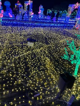 伊豆ぐらんぱる公園に投稿された画像（2022/1/9）