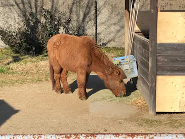 天王寺動物園に投稿された画像（2022/1/9）