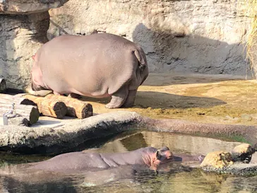 天王寺動物園に投稿された画像（2022/1/9）