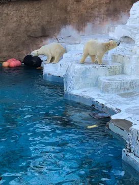 天王寺動物園に投稿された画像（2022/1/9）