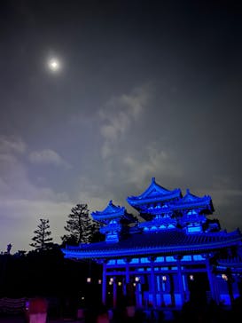 NAKED ヨルモウデ 平安神宮に投稿された画像（2022/1/9）