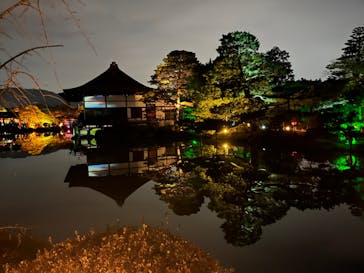 NAKED ヨルモウデ 平安神宮に投稿された画像（2022/1/9）