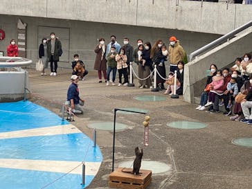 大分マリーンパレス水族館 「うみたまご」に投稿された画像（2022/1/9）