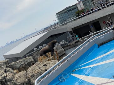 大分マリーンパレス水族館 「うみたまご」に投稿された画像（2022/1/9）