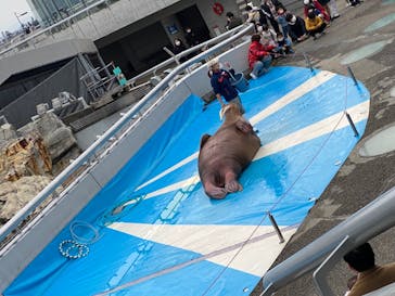大分マリーンパレス水族館 「うみたまご」に投稿された画像（2022/1/9）