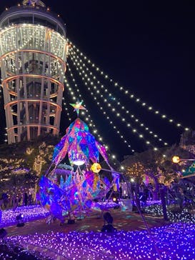 江の島シーキャンドルに投稿された画像（2022/1/9）