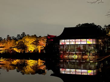 NAKED ヨルモウデ 平安神宮に投稿された画像（2022/1/9）