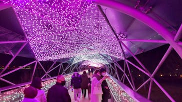 とっとり花回廊に投稿された画像（2022/1/9）