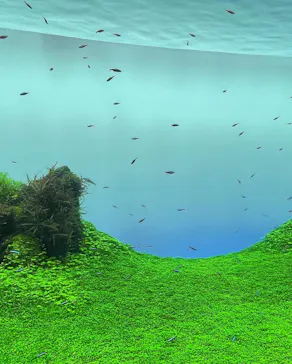 すみだ水族館に投稿された画像（2022/1/9）