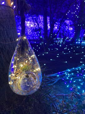 江の島シーキャンドルに投稿された画像（2022/1/9）