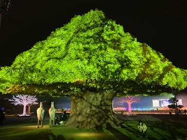 東京メガイルミに投稿された画像（2022/1/9）