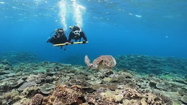 アルファダイブ沖縄に投稿された画像（2022/1/9）