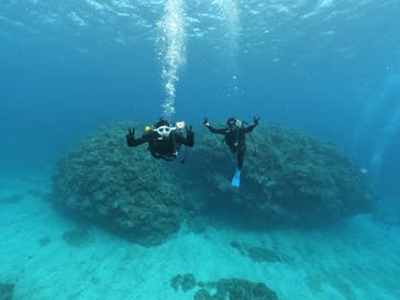 アルファダイブ沖縄に投稿された画像（2022/1/9）