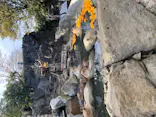 伊豆シャボテン動物公園に投稿された画像（2022/1/9）