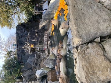 伊豆シャボテン動物公園に投稿された画像（2022/1/9）