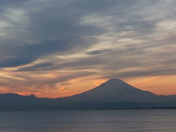 新江ノ島水族館に投稿された画像（2022/1/9）