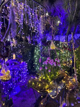 江の島シーキャンドルに投稿された画像（2022/1/9）