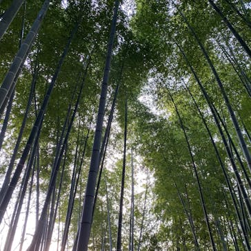 瑞光窯（ずいこうがま）京都清水店に投稿された画像（2022/1/9）