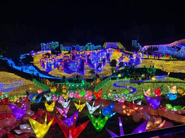 伊豆ぐらんぱる公園に投稿された画像（2022/1/9）