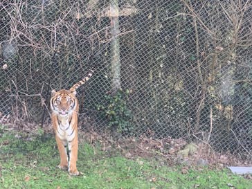 秋吉台自然動物公園 サファリランドに投稿された画像（2022/1/9）