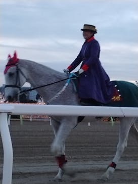 東京メガイルミに投稿された画像（2022/1/9）