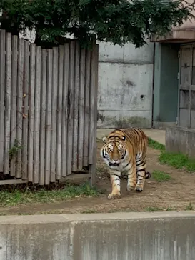 天王寺動物園に投稿された画像（2022/1/9）