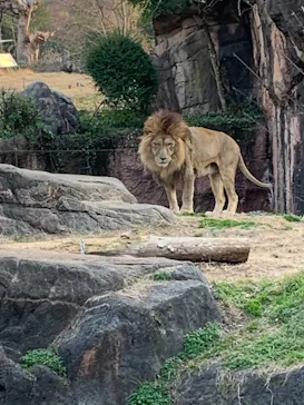 天王寺動物園に投稿された画像（2022/1/9）