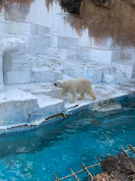 天王寺動物園に投稿された画像（2022/1/9）