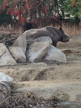 天王寺動物園に投稿された画像（2022/1/9）