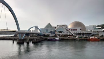 名古屋港水族館に投稿された画像（2022/1/9）