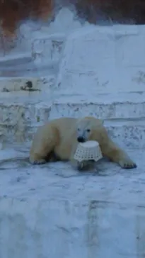 天王寺動物園に投稿された画像（2022/1/9）
