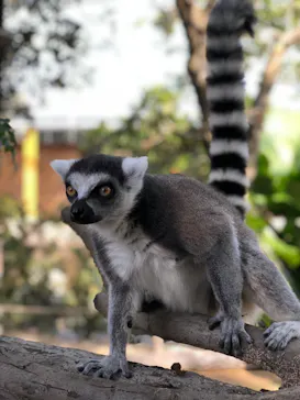 神戸どうぶつ王国に投稿された画像（2022/1/9）