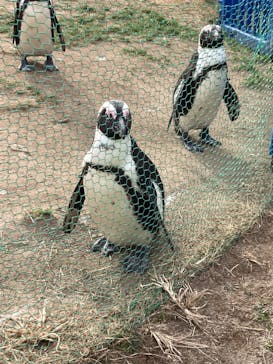 名古屋港水族館に投稿された画像（2022/1/9）