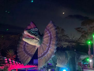 伊豆ぐらんぱる公園に投稿された画像（2022/1/9）