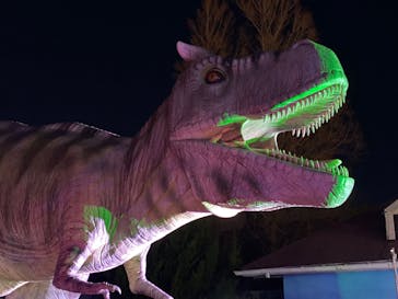 伊豆ぐらんぱる公園に投稿された画像（2022/1/9）