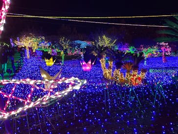 伊豆ぐらんぱる公園に投稿された画像（2022/1/9）