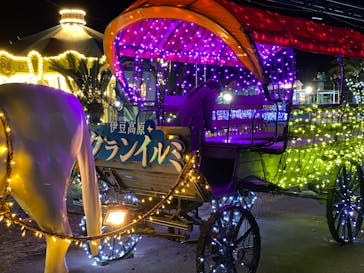 伊豆ぐらんぱる公園に投稿された画像（2022/1/9）