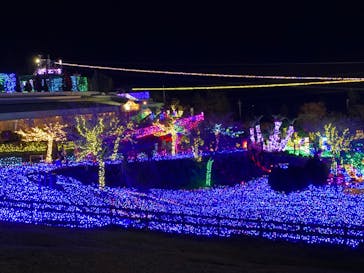 伊豆ぐらんぱる公園に投稿された画像（2022/1/9）