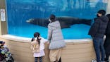 サンシャイン水族館に投稿された画像（2022/1/10）