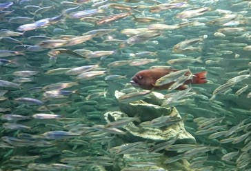 サンシャイン水族館に投稿された画像（2022/1/10）
