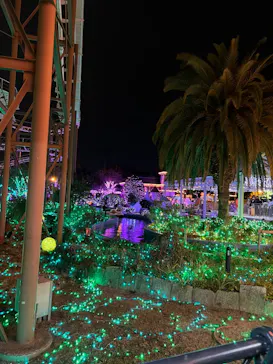 ひらかたパークに投稿された画像（2022/1/10）