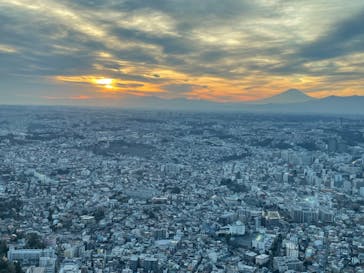 横浜ランドマークタワー 69階展望フロア スカイガーデンに投稿された画像（2022/1/10）